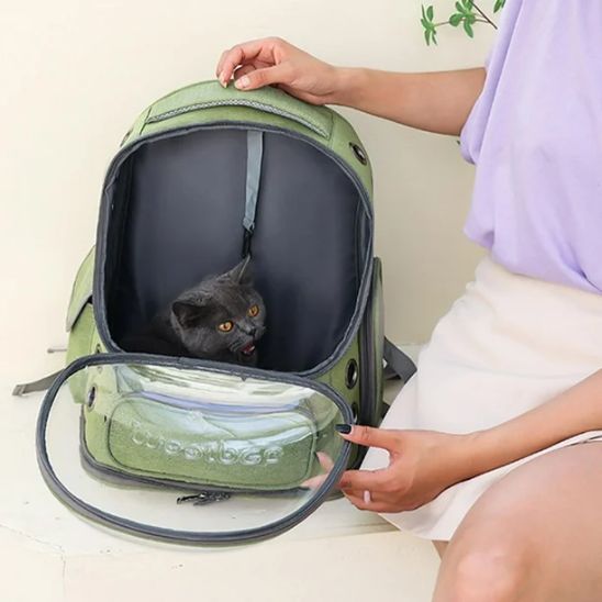 Sac de transport pour chat capsule spatiale