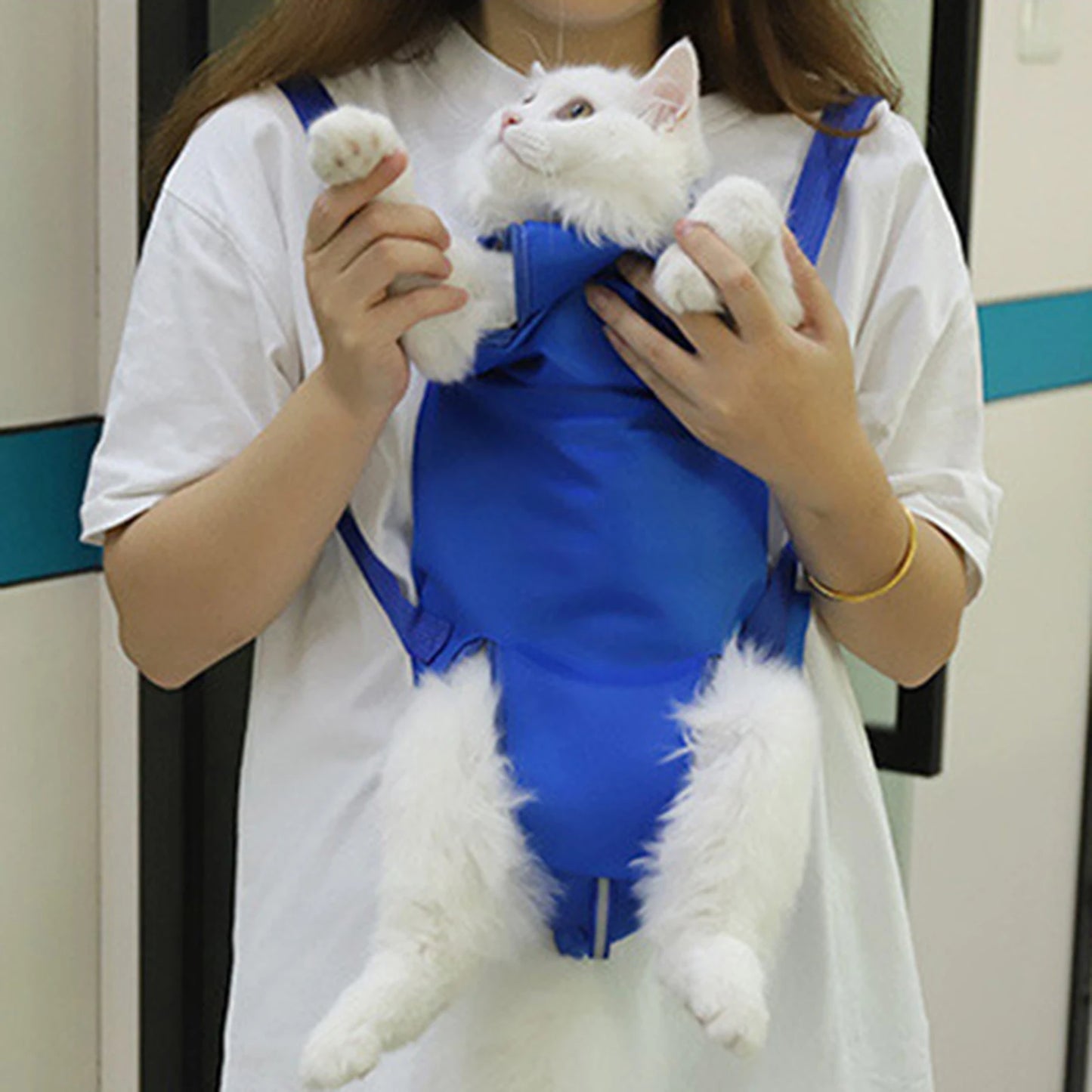 Sac de transport pour chats - bleu
