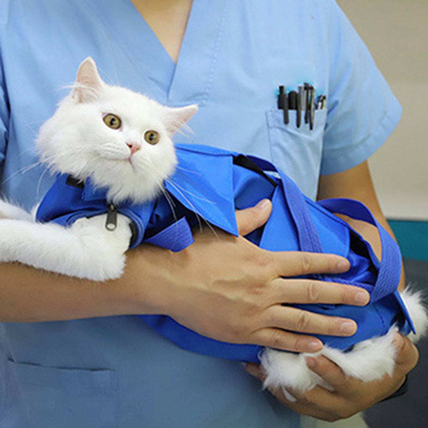 Sac de transport pour chats - bleu