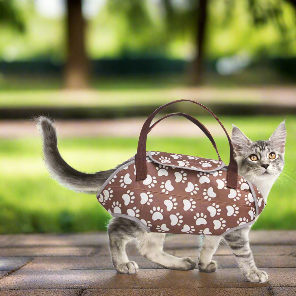 Sac de transport chat- Marron