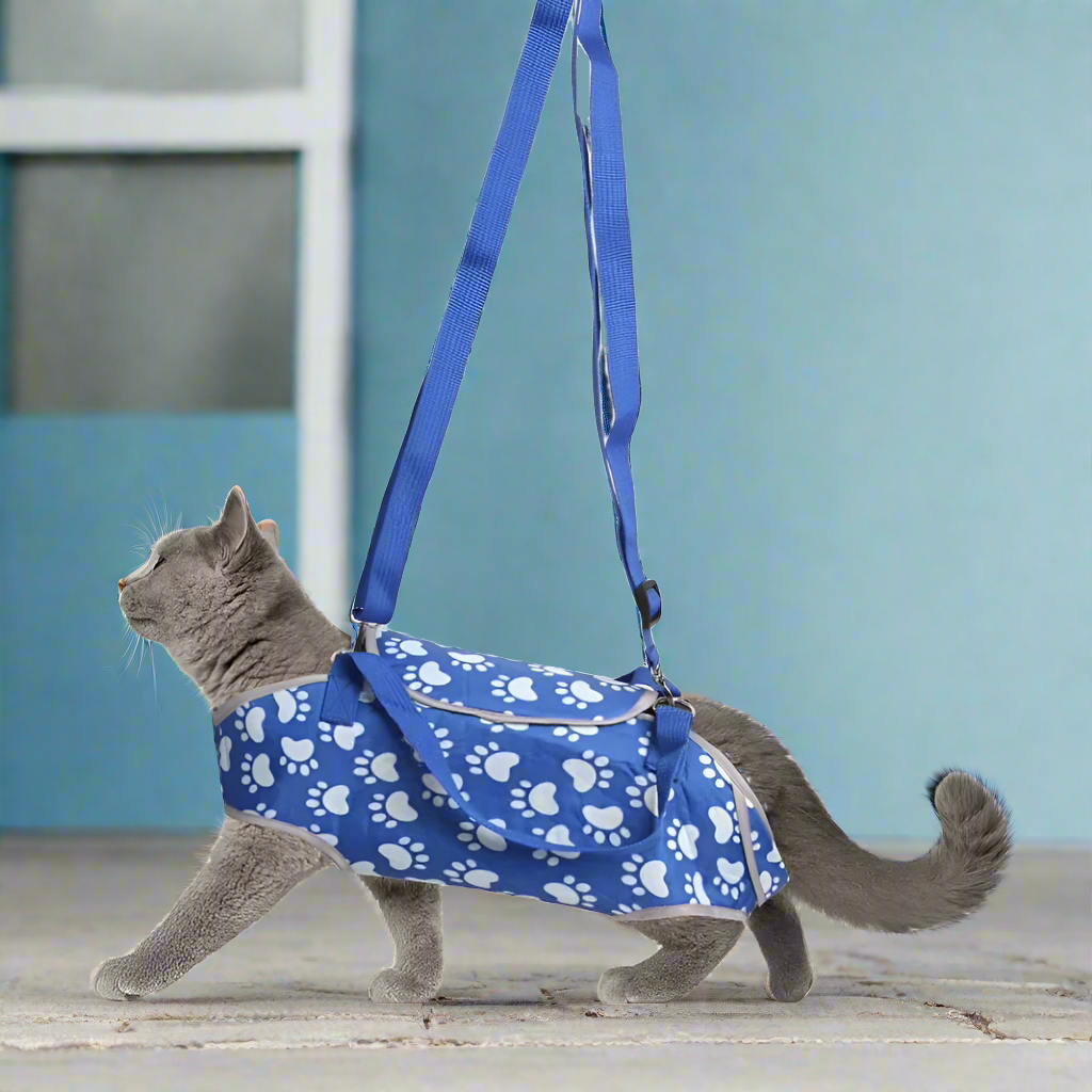 Sac de transport chat - Bleu